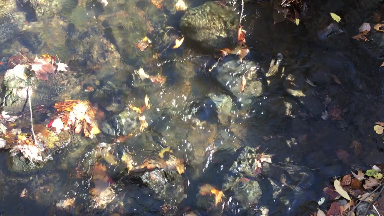 Stream is flowing from a mountain🗻🗻#nature