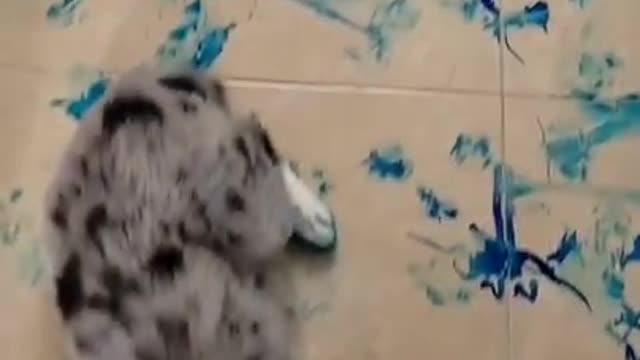 Dog Imprints Entire House's Floor With Paws Dipped Inside Blue Food Color