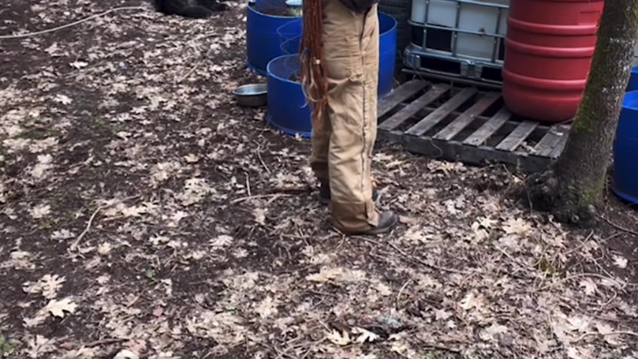 - SUBLIMINAL LOCKS ; HAS A MELTDOWN ON LIVE | MENTIONS CPS WANTS TO COME TO HER HOUSE AGAIN !