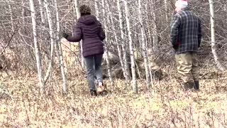 Family Brings in Vet to Care for Sick Moose