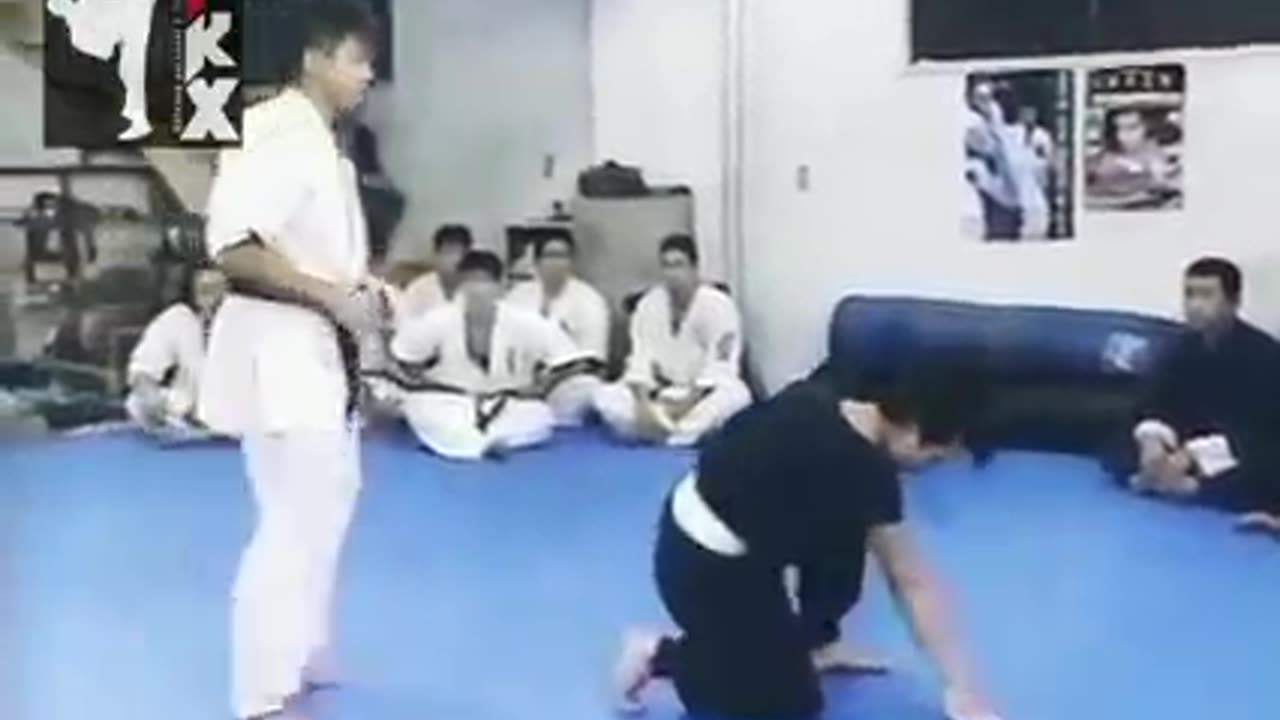 Karate Vs. Kung Fu