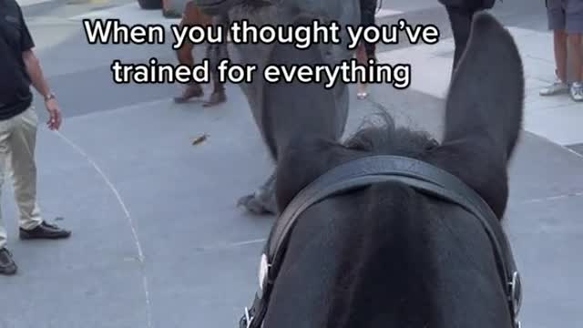 When you thought you've trained for everything