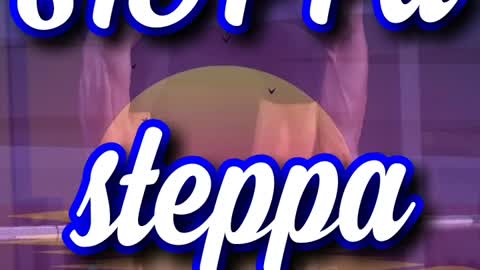 Steppa - Best song ever