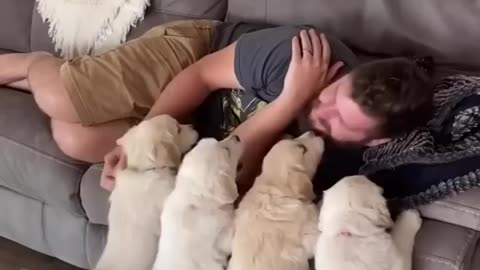 Puppies want snuggles!