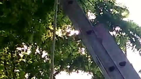 Jade Zip Line