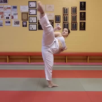 Karate Kick Combo #shorts #martialarts #karate