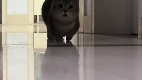 wow wow so angry