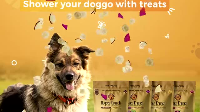 Dogsee Chew Veg - The Safest Natural Veggie Treats for Dogs