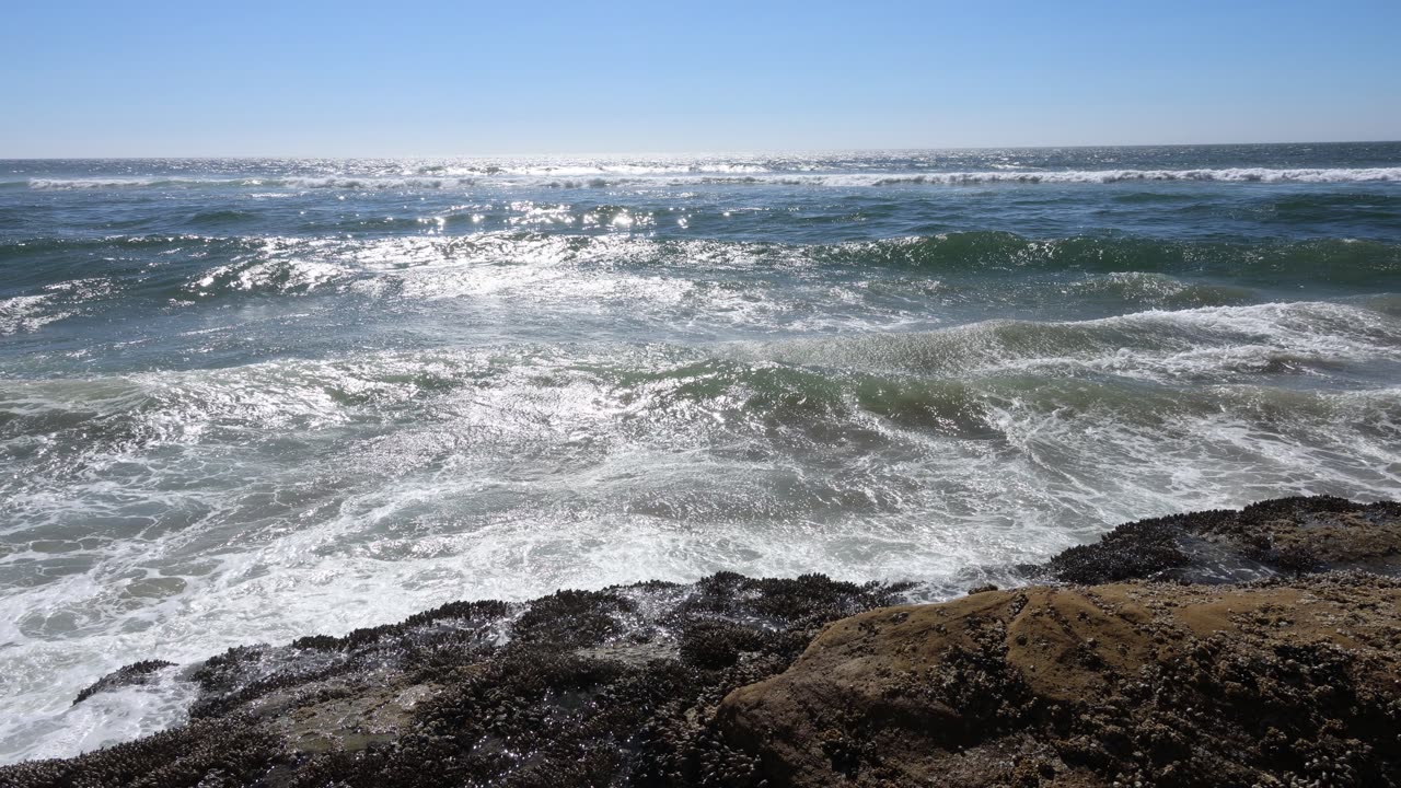 Oregon Coast