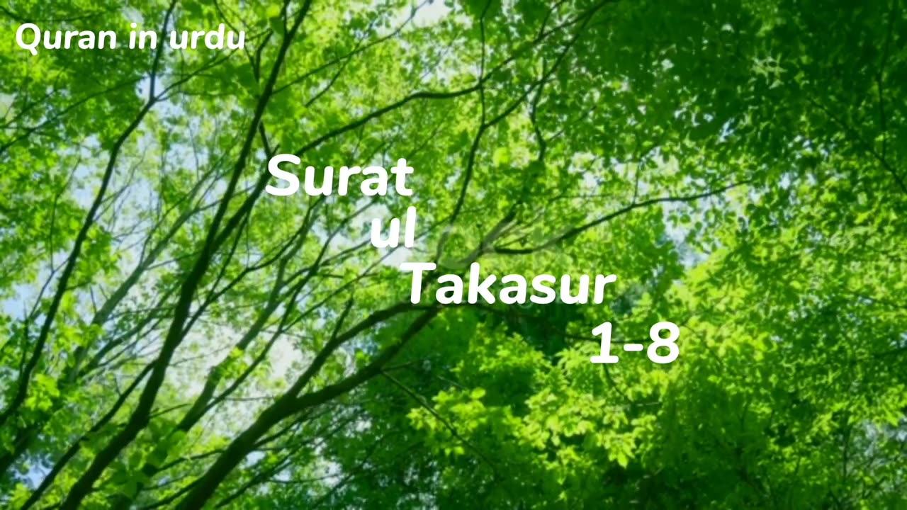 surat ul takasur | Quran in urdu | translation of quran in urdu