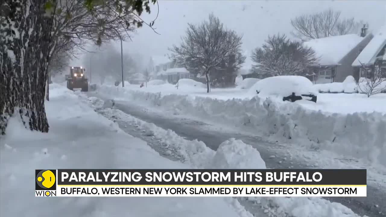 US Paralysing snowstorm hits Buffalo, mayor imposes travel ban Latest News WION