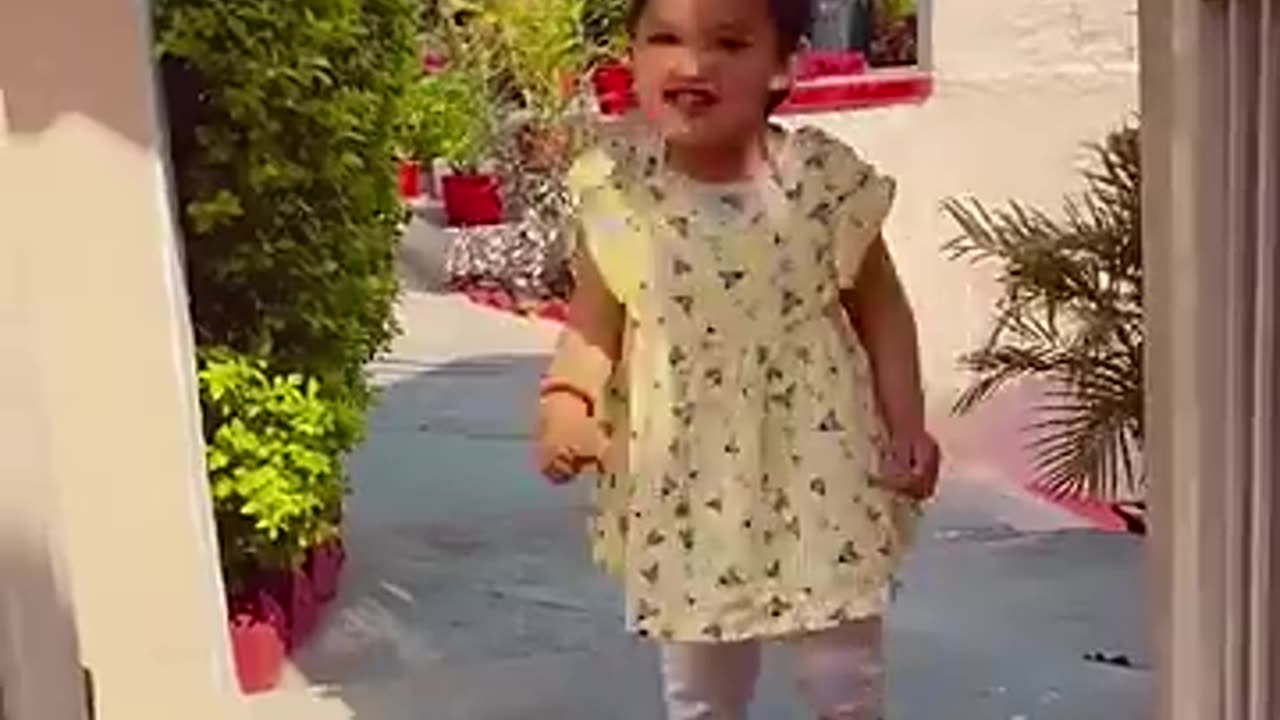 funny video