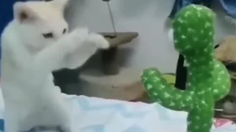 FUNNY ANIMAL VIDEOS!!😂