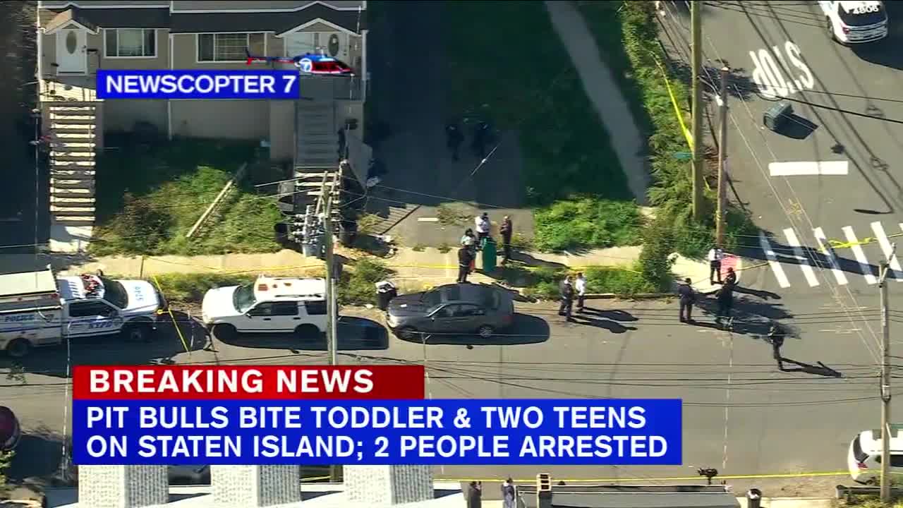 2 teens, toddler attacked by pit bulls on Staten Island