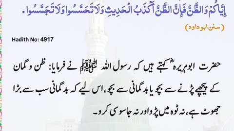 The Daily Hadith