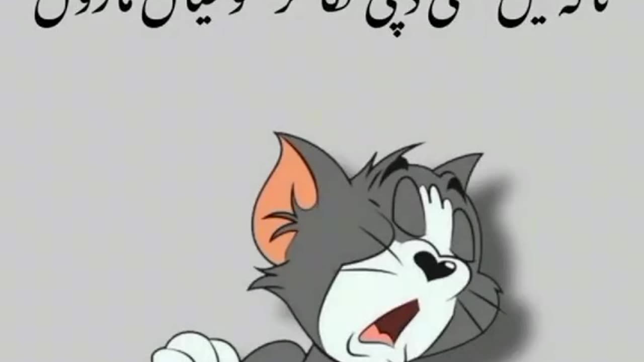 Tom and Jerry