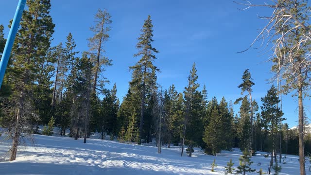 Gorgeous Snowy Alpine Meadow – Upper Three Creek Lake Sno-Park – Central Oregon – 4K