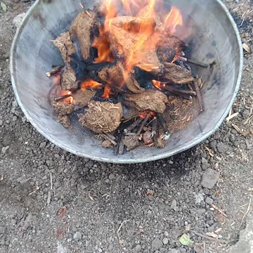 come bruciano le torte di sterco di mucca essiccate DOCUMENTARIO lo sterco di mucca viene fatto essiccare e poi usato come pellet per cucinare il cibo o come concime per le piante in India,oltre a mangiarsi la merda e bersi l'urina delle sacre mucche