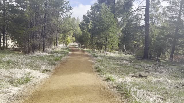 Segment Connector Section of Deschutes River Trail – Central Oregon – 4K