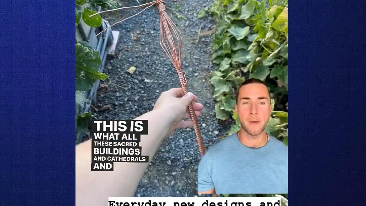 Parasites are everywhere