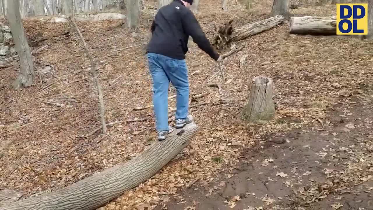 Funny videos