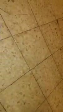 Toy plane, plays music, cool gift for a child