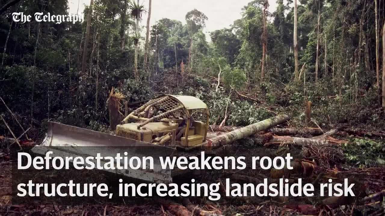 What causes a landslide_ _ Natural Disasters