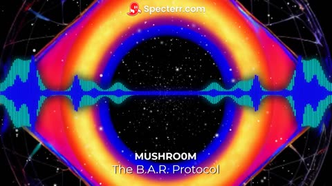 The B.A.R. Protocol - Mushro0m