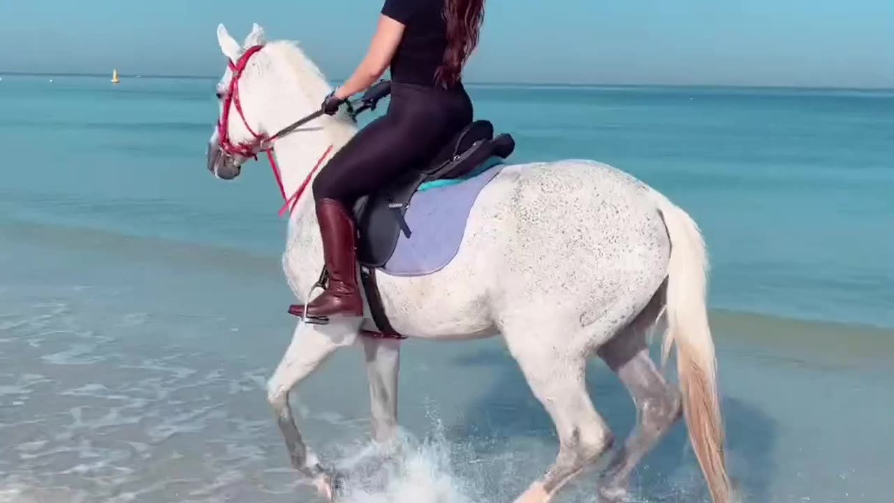 Girl Horse Riding on Beach