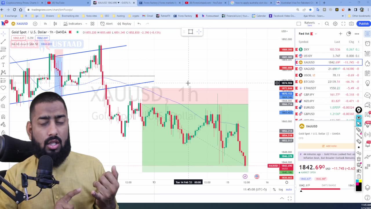 Forex Market Update with 10 Plus Signals - 15 Feb 2023