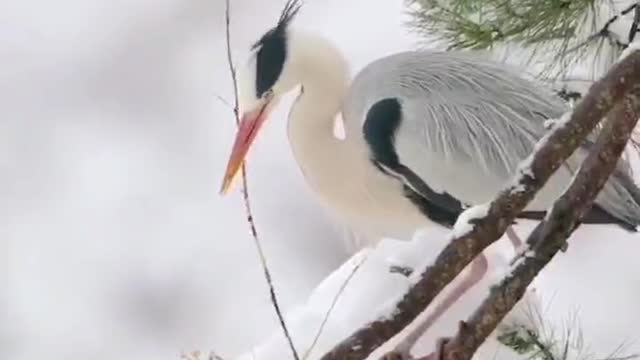 I don't know what you're doing with that stick