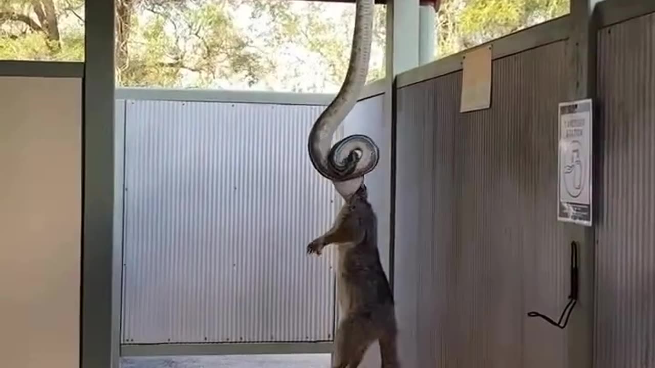 Nature Creature