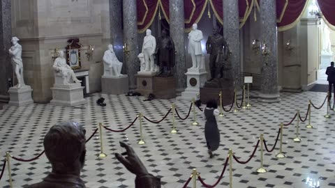 0262USCH02StatuaryHall_2021-01-06_22h36min42s107ms.mp4