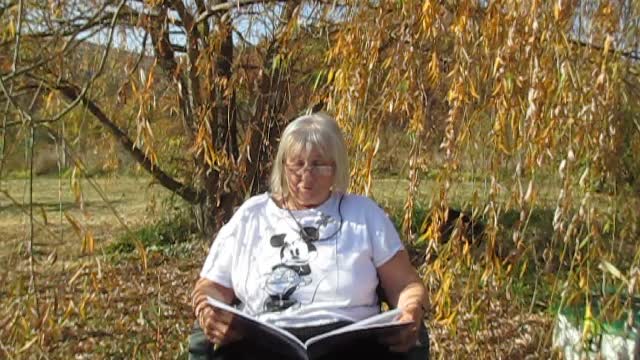 Tales from under the trees