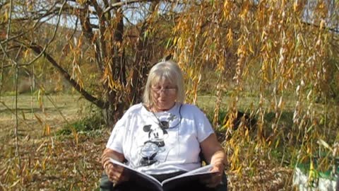 Tales from under the trees