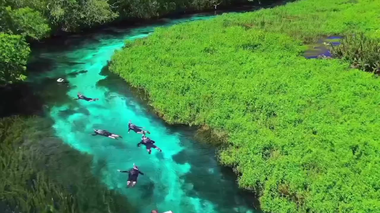 Snorkeling through the clearest river in Brazil 💙🤿