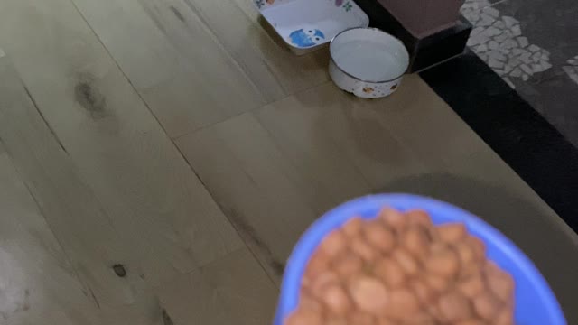 Angry Dog Suddenly Attacks Food Scoop