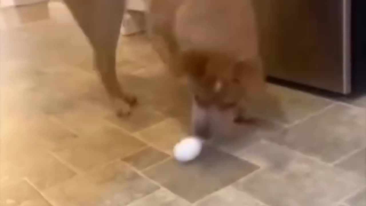 :)