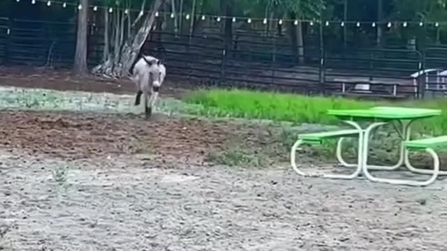 Omg it’s perfect with the timing hahahah