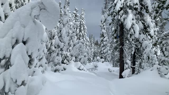 Rigorously & Vigorously – Central Oregon – Vista Butte Sno-Park – 4K