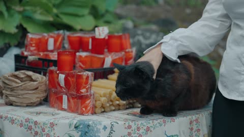 Petting a black cat near a chapel