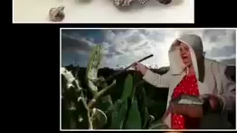 BE CAREFUL WHAT YOU EAT !!