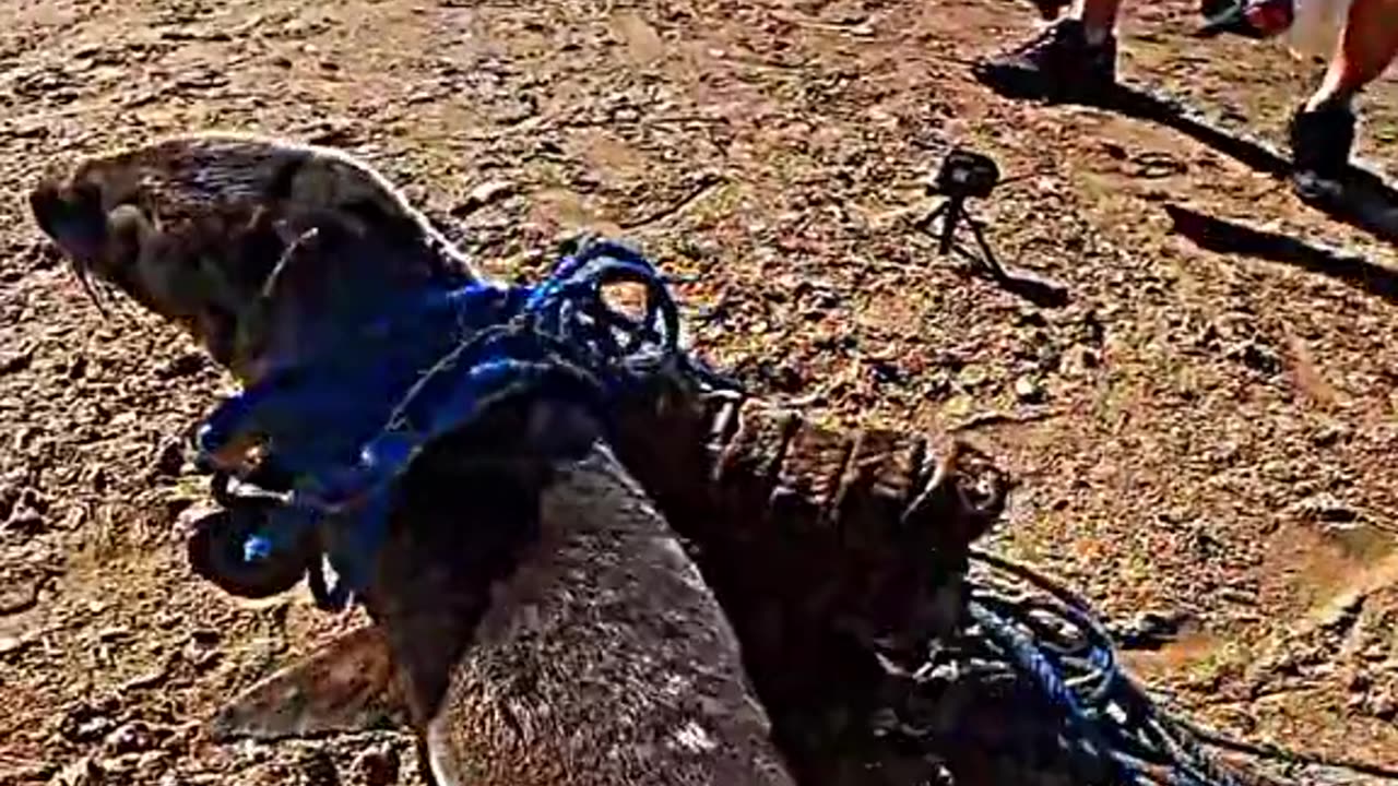 Pessoas que têm um lugar reservado no céu, 🥺