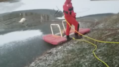 Dog Rescued from Ice Covered Pond