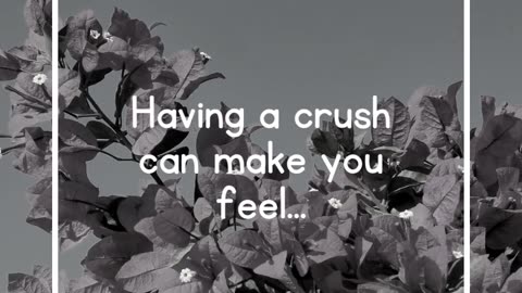 Having a crush can make you feel...