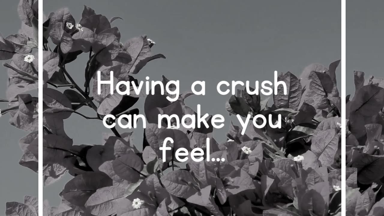 Having a crush can make you feel...