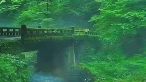 natural beauty