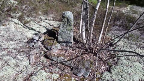 Metsä yllätti jälleen