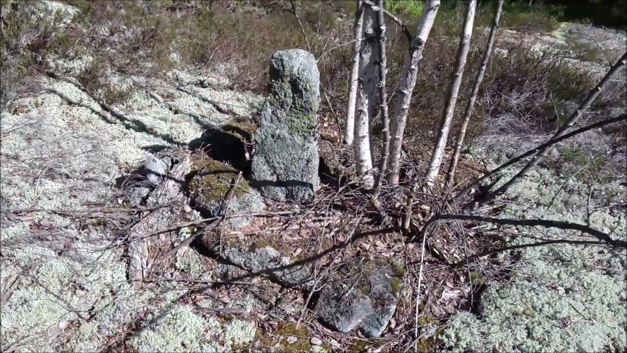 Metsä yllätti jälleen