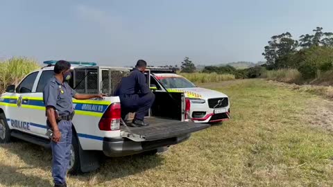 WATCH: An emergency of a different kind for KZN medics who rescue trapped duiker